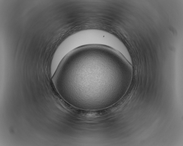 X0000115280173200911131836