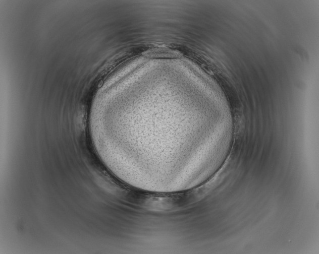 X0000115280174200911131836