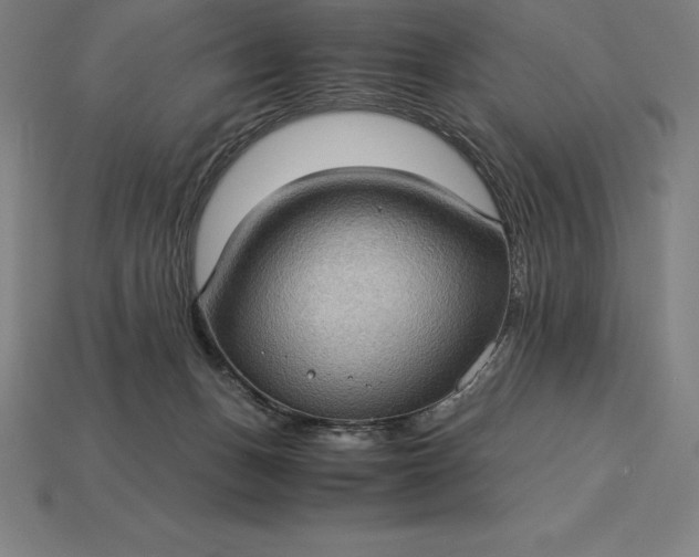 X0000115280175200911131836