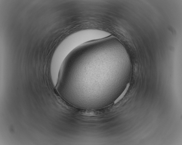 X0000115280177200911131836