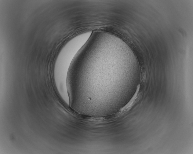 X0000115280179200911131836