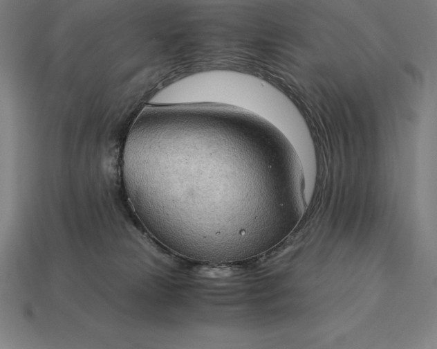 X0000115280181200911131836