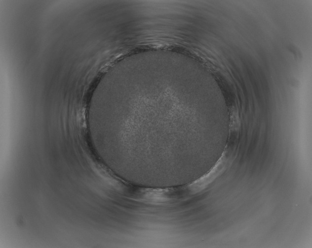 X0000115280182200911131836