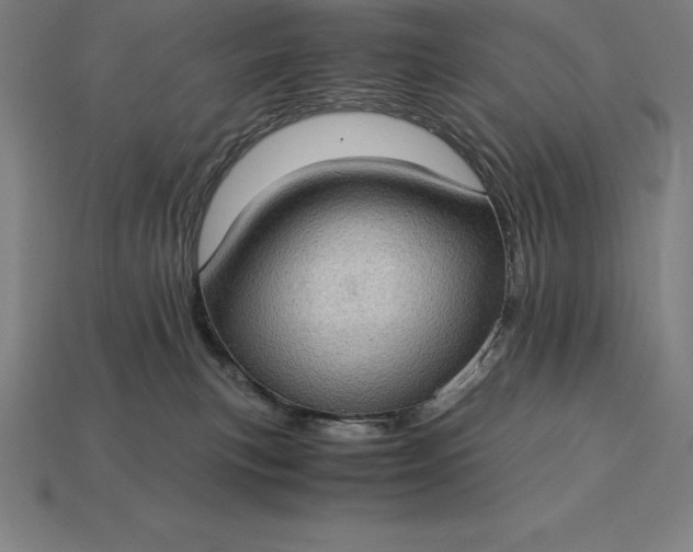 X0000115280183200911131836