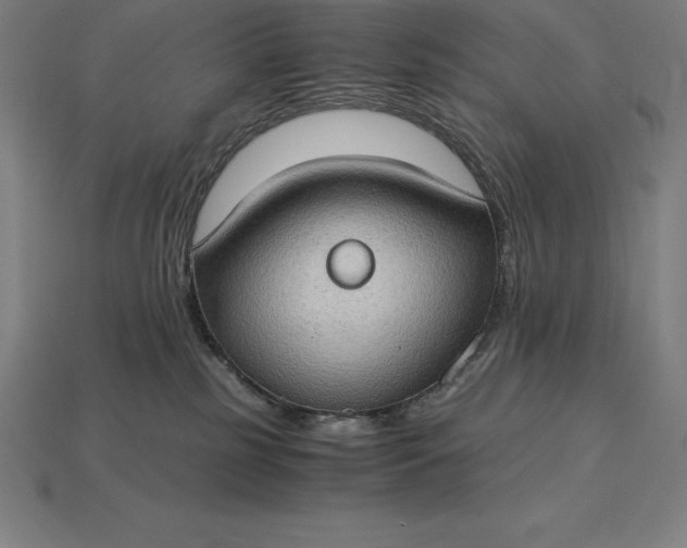 X0000115280185200911131836