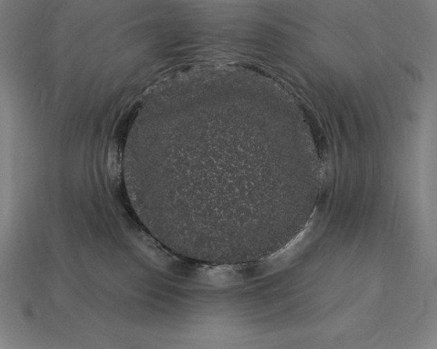 X0000115280186200911131836