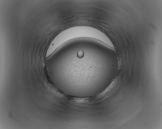 X0000115280187200911131836