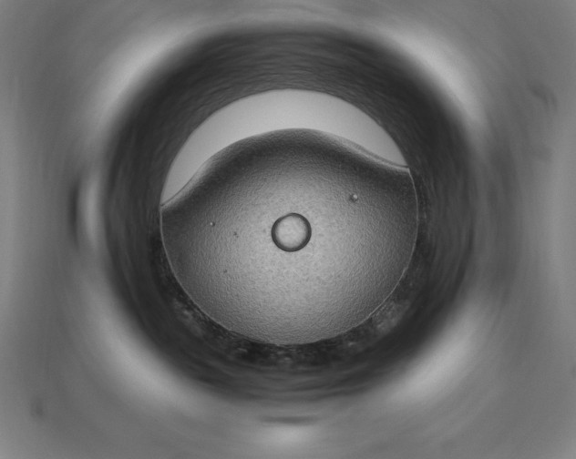 X0000115280189200911131836