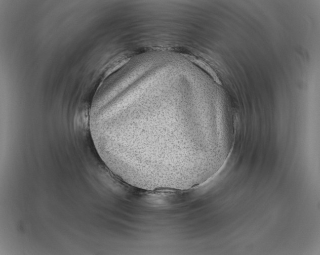 X0000115280190200911131836