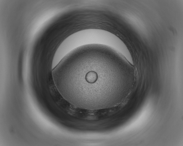 X0000115280191200911131836