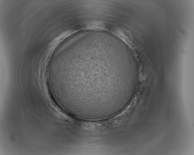 X0000115280193200911131836