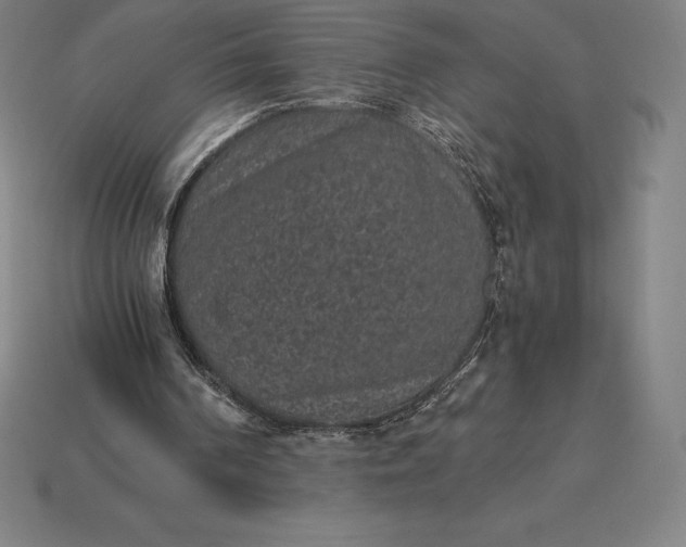 X0000115280194200911131836