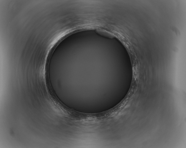 X0000115280196200911131836