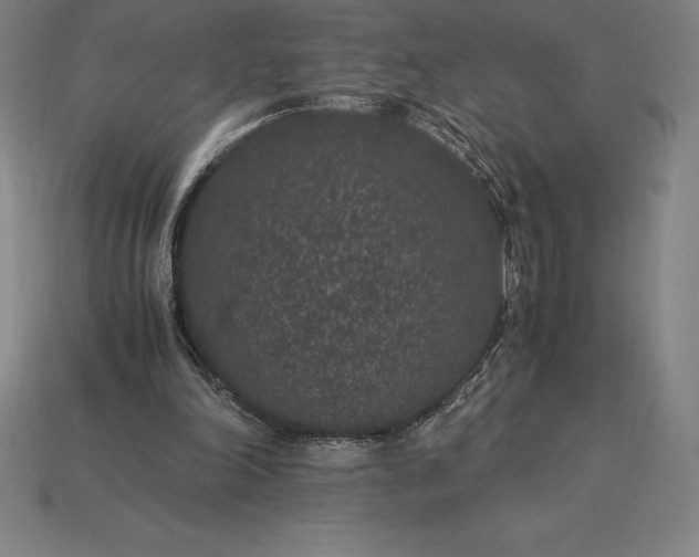 X0000115280198200911131836