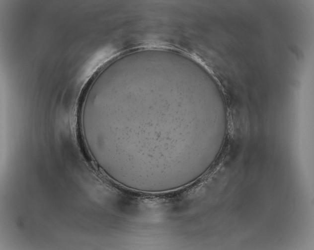 X0000115280199200911131836