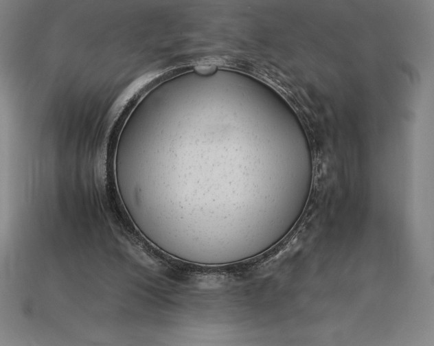 X0000115280200200911131836