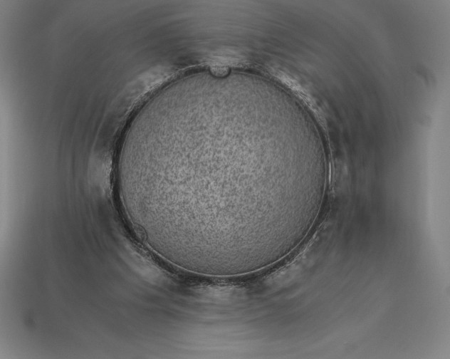 X0000115280201200911131836