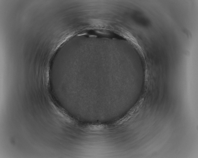 X0000115280202200911131836