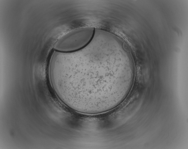 X0000115280203200911131836