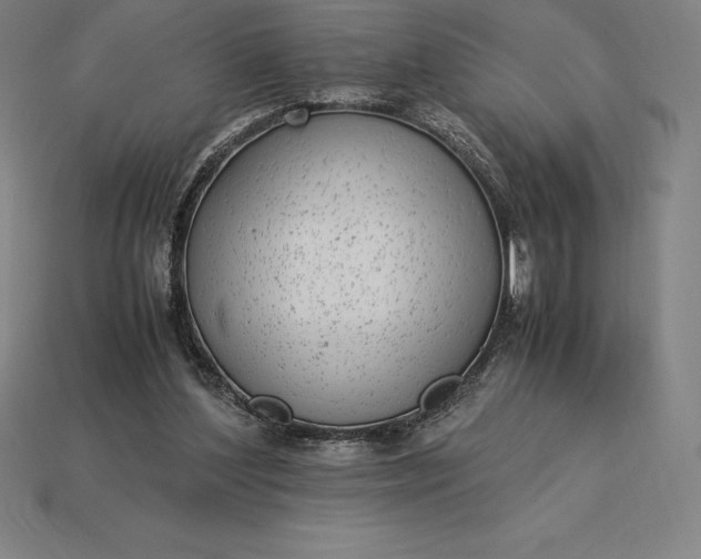 X0000115280204200911131836