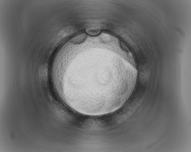 X0000115280207200911131836