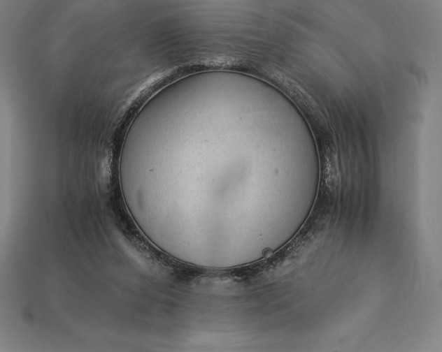 X0000115280208200911131836