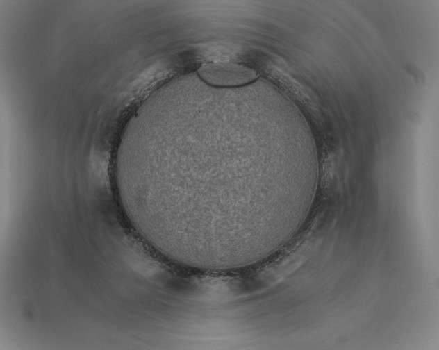 X0000115280209200911131836