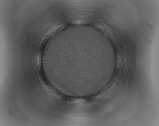 X0000115280210200911131836