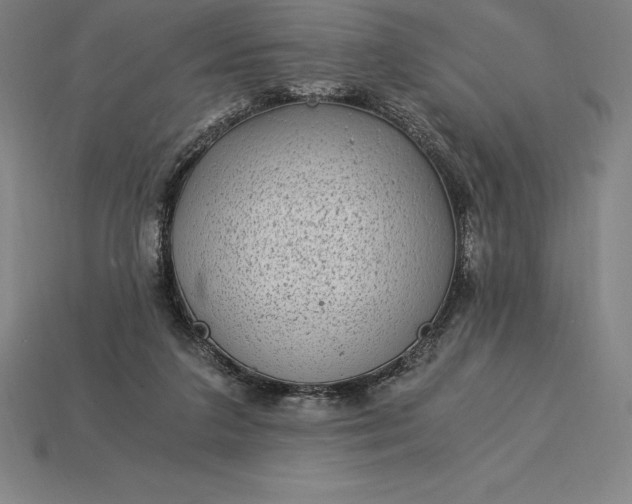 X0000115280211200911131836