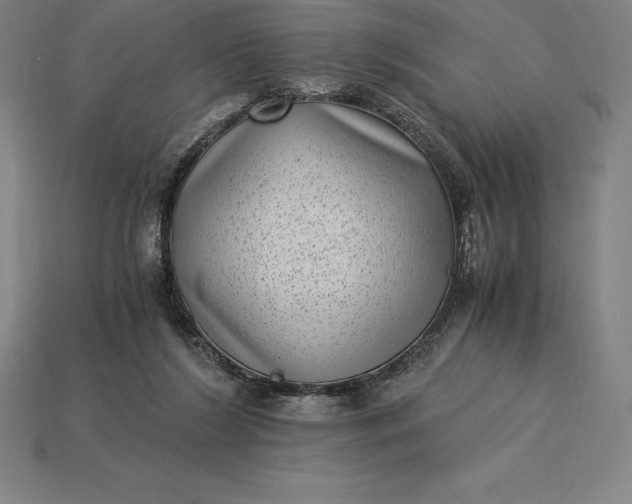 X0000115280212200911131836