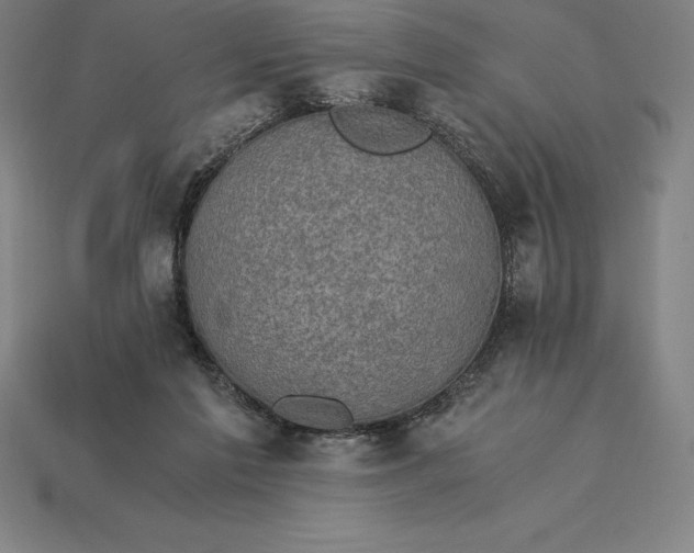 X0000115280213200911131835