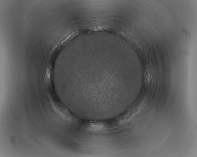 X0000115280214200911131835