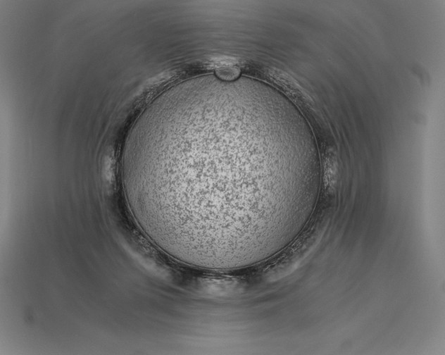 X0000115280215200911131835