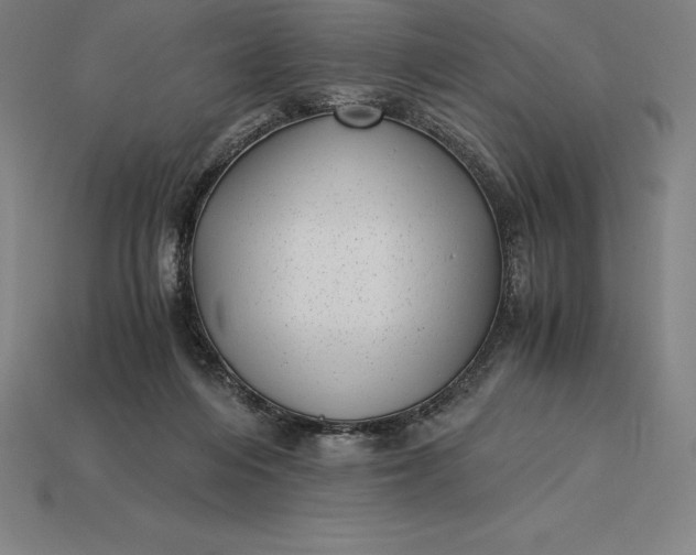 X0000115280216200911131835