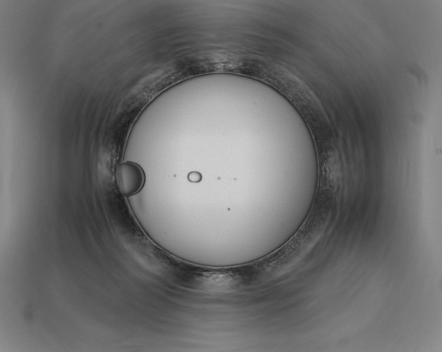 X0000115280218200911131835