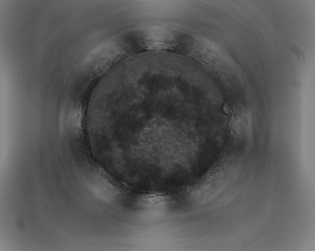 X0000115280219200911131835