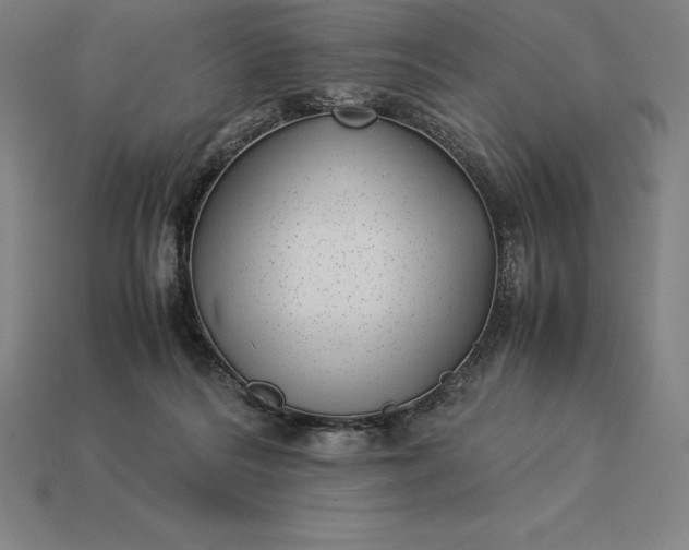 X0000115280220200911131835