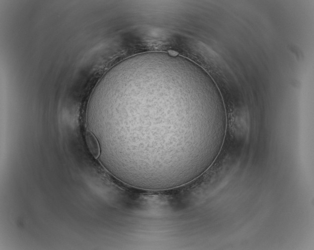 X0000115280221200911131835