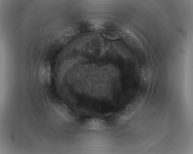 X0000115280223200911131835