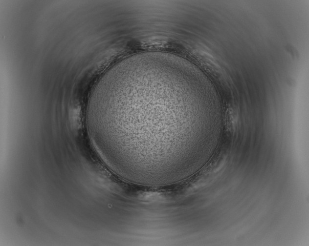 X0000115280224200911131835