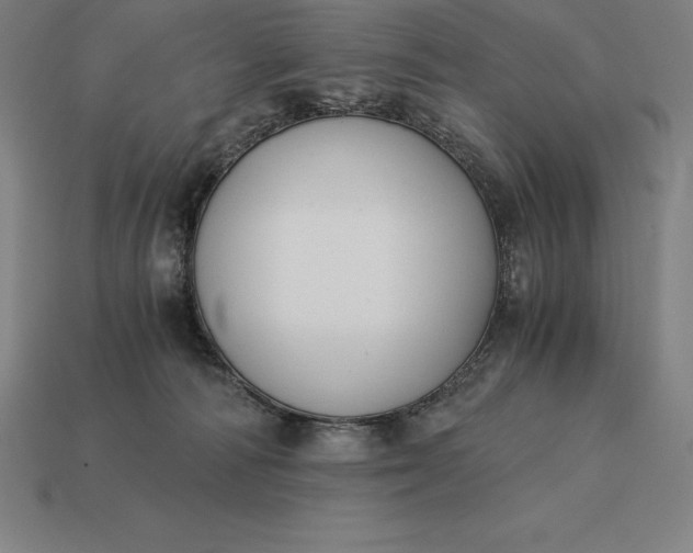 X0000115280226200911131835