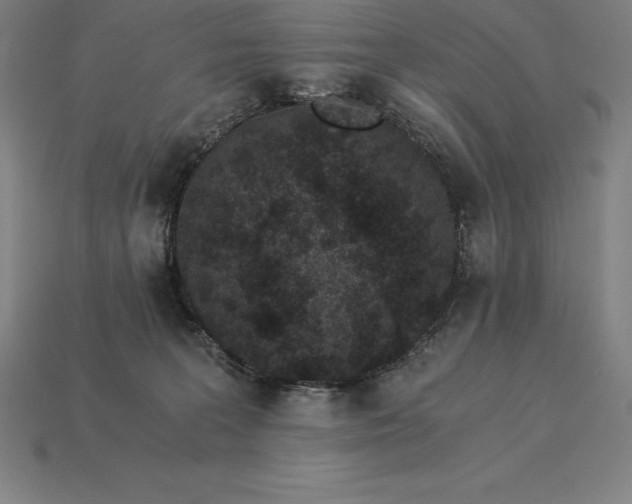 X0000115280227200911131835