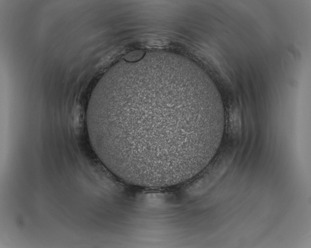 X0000115280228200911131835