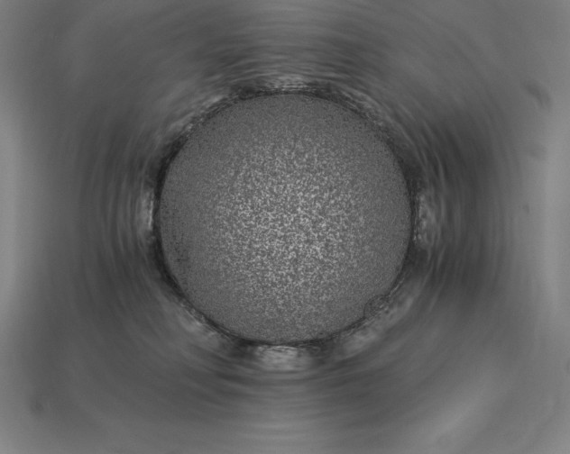 X0000115280230200911131835