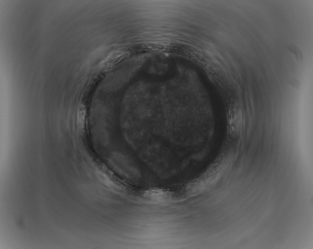 X0000115280231200911131835