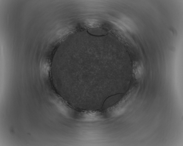 X0000115280235200911131835