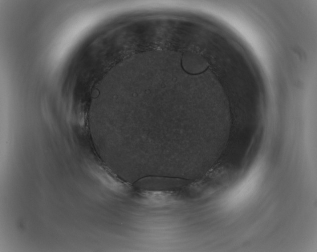 X0000115280239200911131835