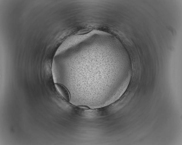 X0000115280240200911131835