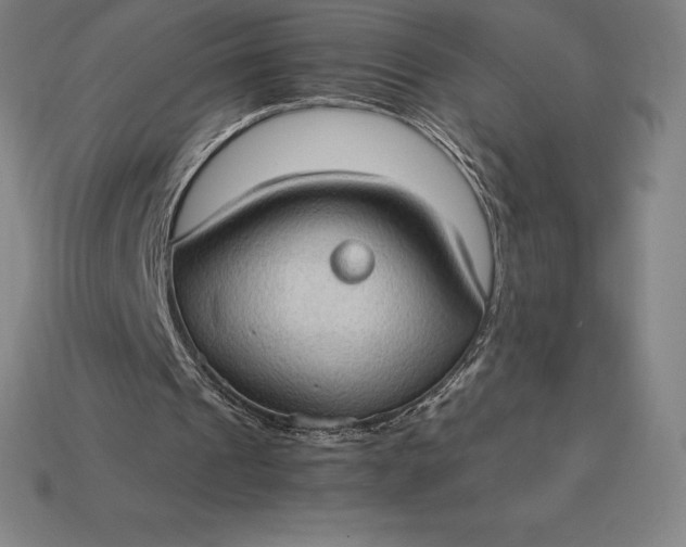 X0000115280241200911131834