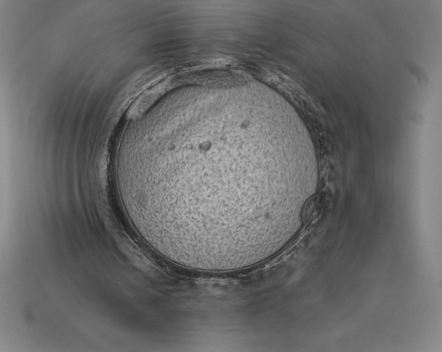 X0000115280242200911131834